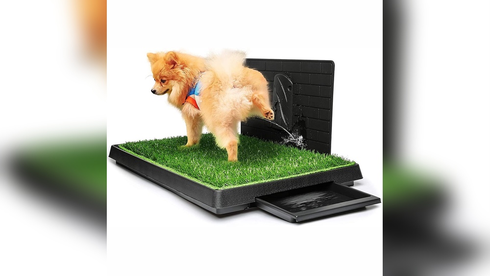 What is the Best Indoor Dog Potty System