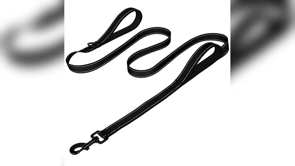 What is the Best Leash for a Dog That Pulls
