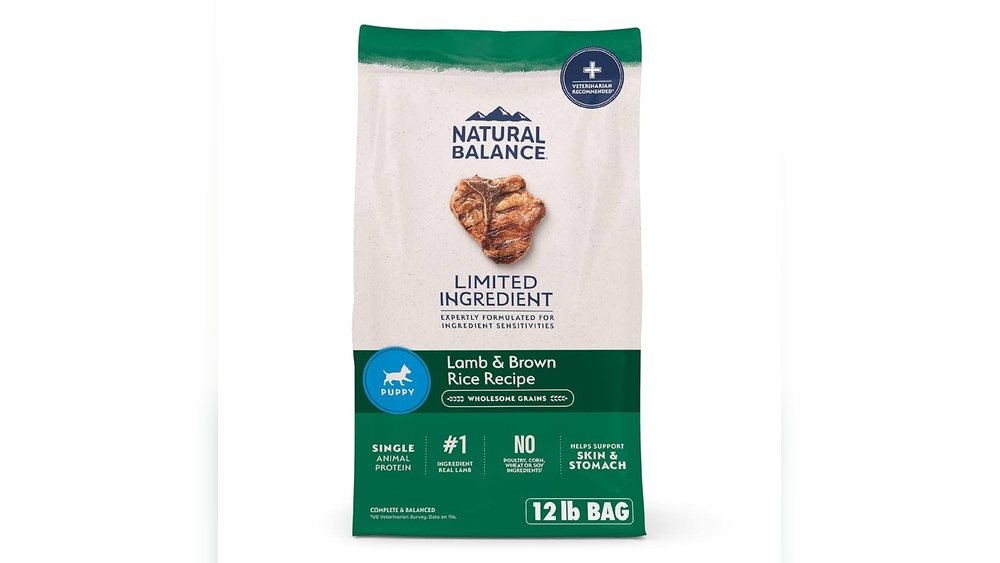What is the Best Nutritional Dry Dog Food