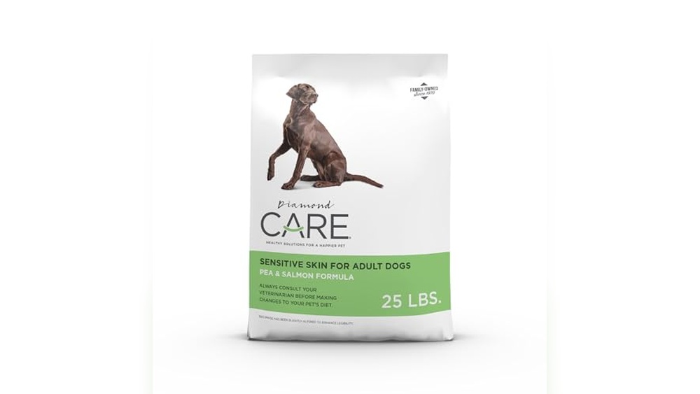 What is the Best Protein for Dogs With Allergies