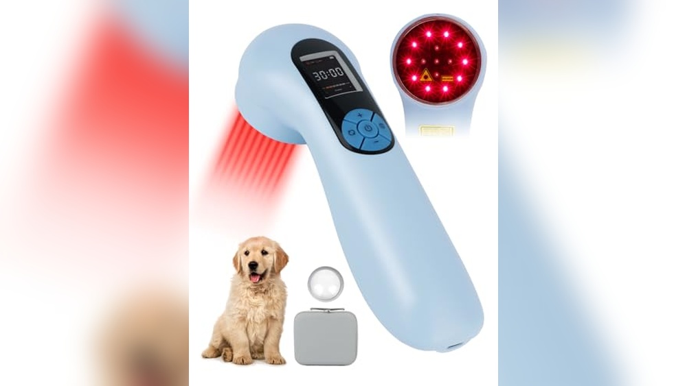 What is the Best Therapy Dog