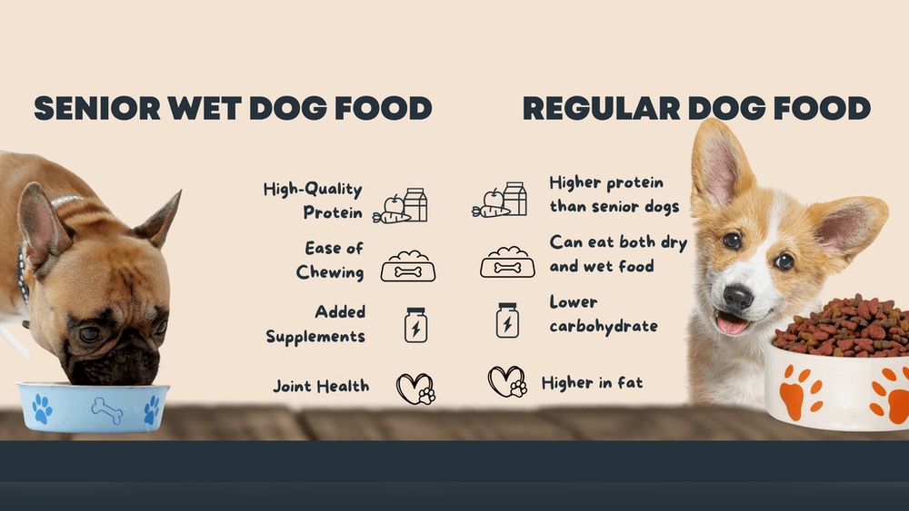 What is the Difference in Senior Dog Food And Adult