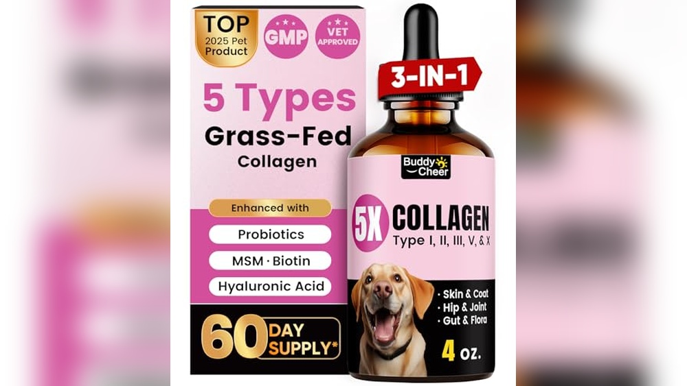 What Type of Grass is Best for Dogs
