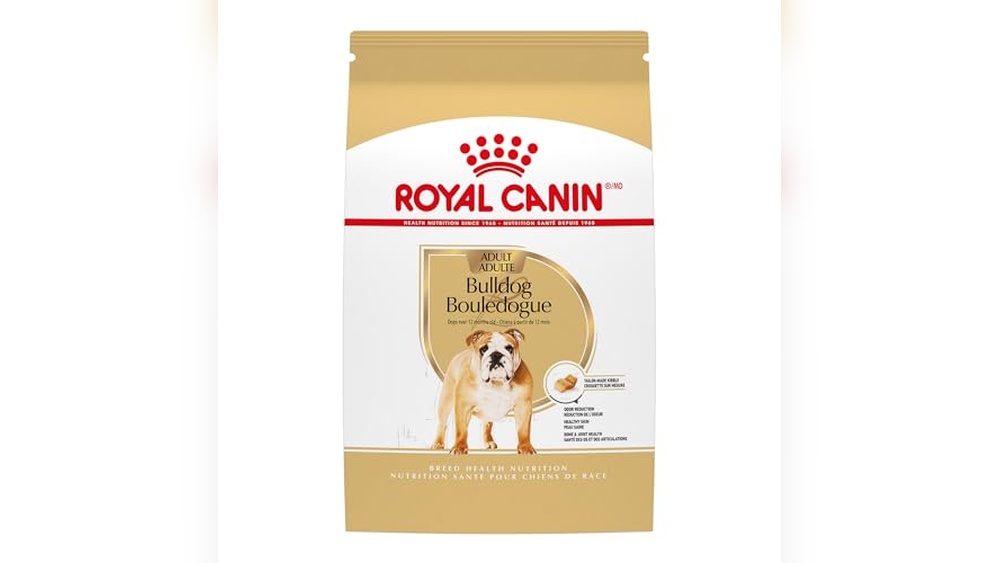 Whats the Best Dog Food for Bullies