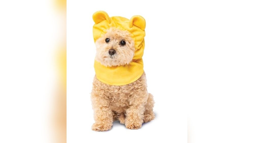 Winnie the Pooh Dog Accessories