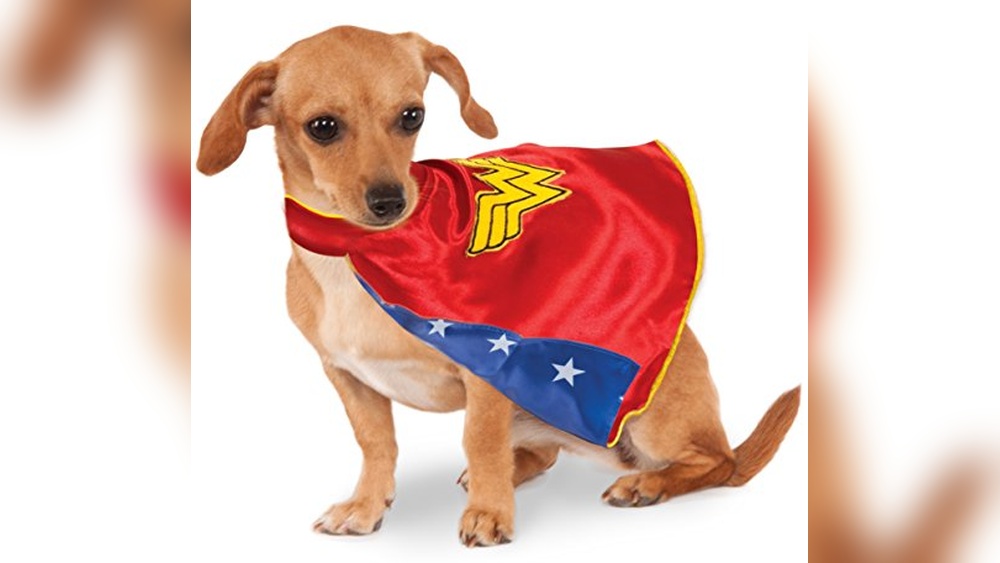 Wonder Woman Dog Accessories