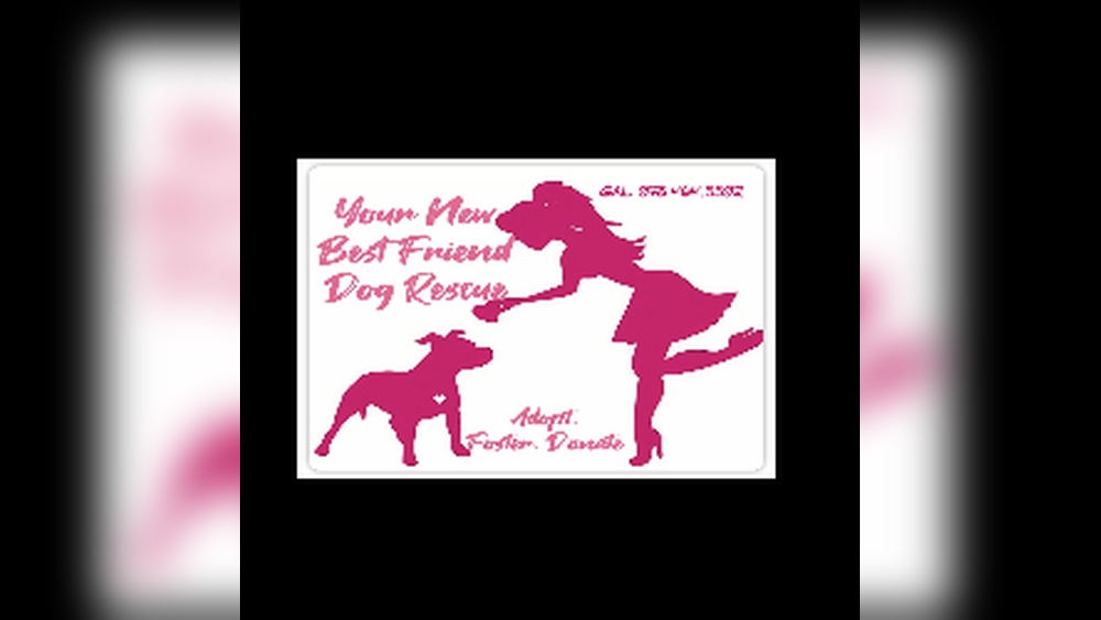 Your New Best Friend Dog Rescue