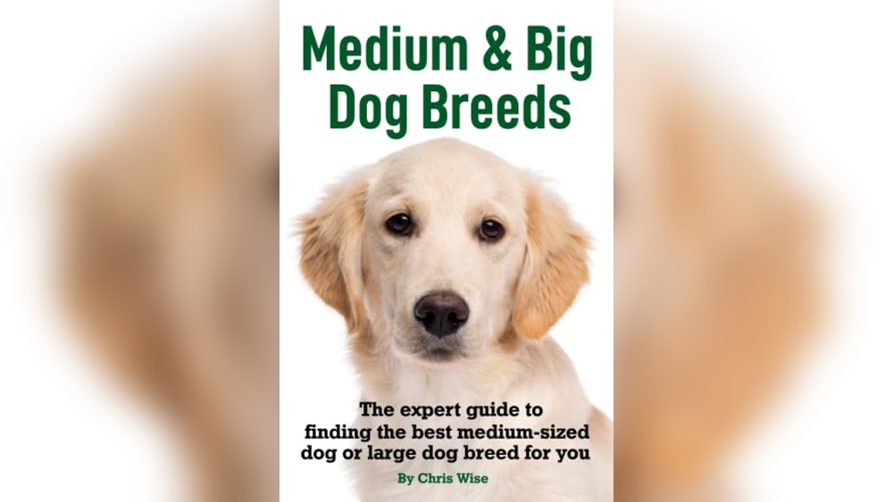 Best Big Dog Breeds for Families