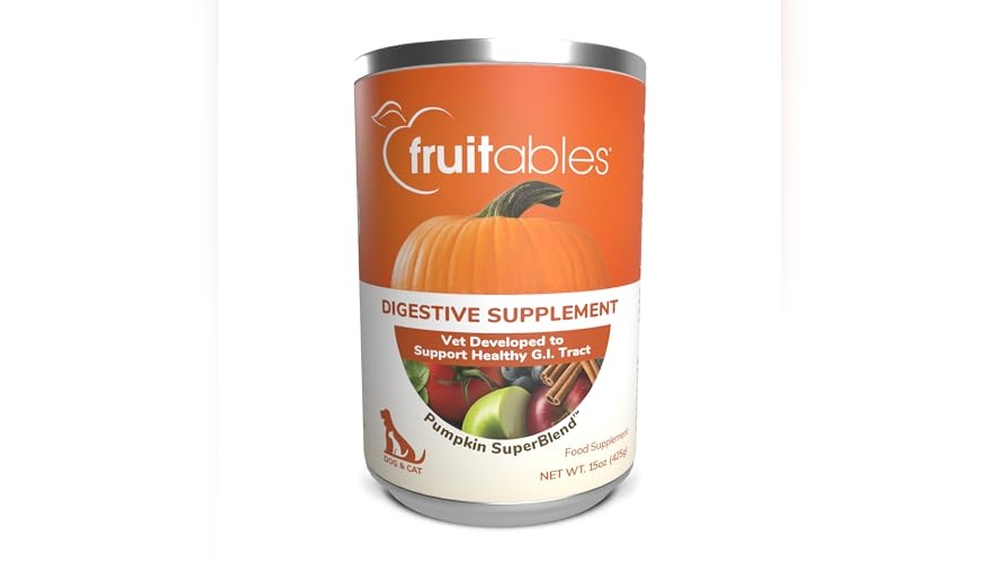 Best Canned Dog Food for Constipation