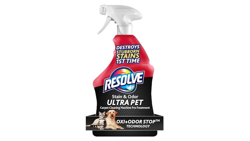 Best Cleaner for Dog Vomit on Carpet