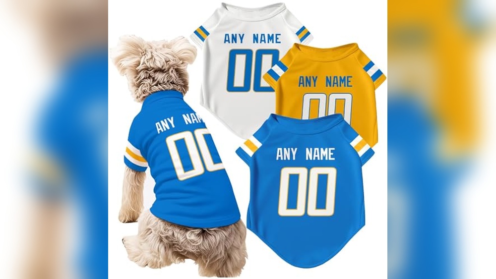 Best Dog Boarding Los Angeles