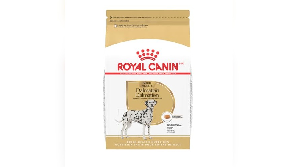 Best Dog Food for Dalmatians