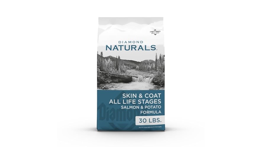 Best Dog Food for Itchy Dogs
