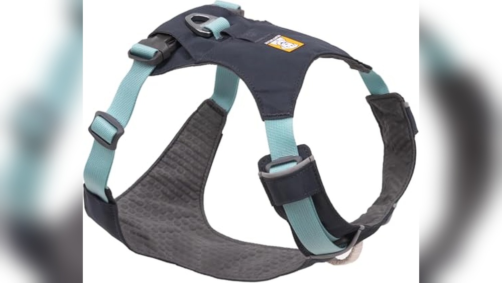 Best Dog Harness for Running