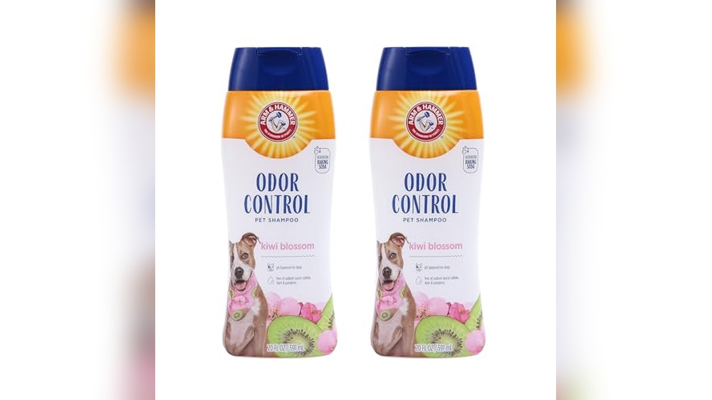 Best Dog Shampoo for Smelly Dogs