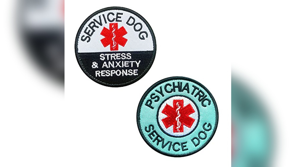 Best Dogs for Psychiatric Service Dogs