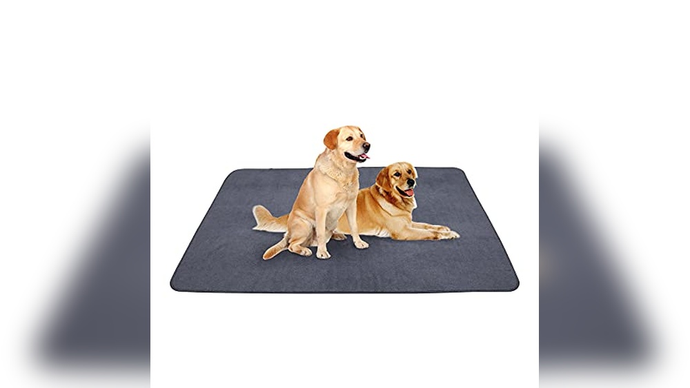Best Floor Covering for Dogs