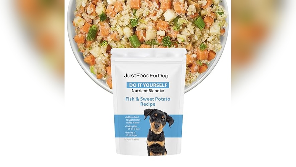 Best Homemade Food for Dogs With Cancer