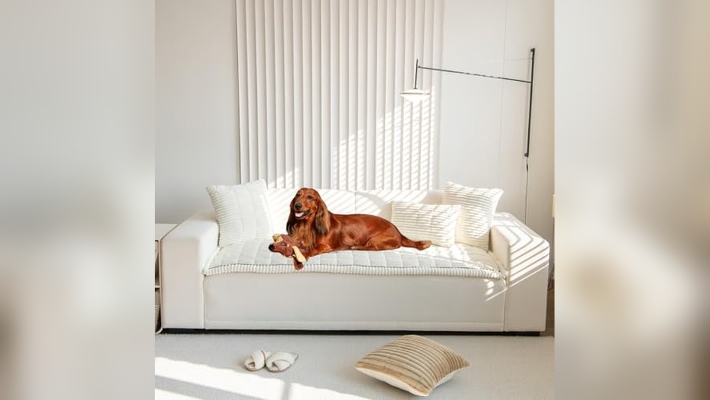 Best Sofa Material With Dogs