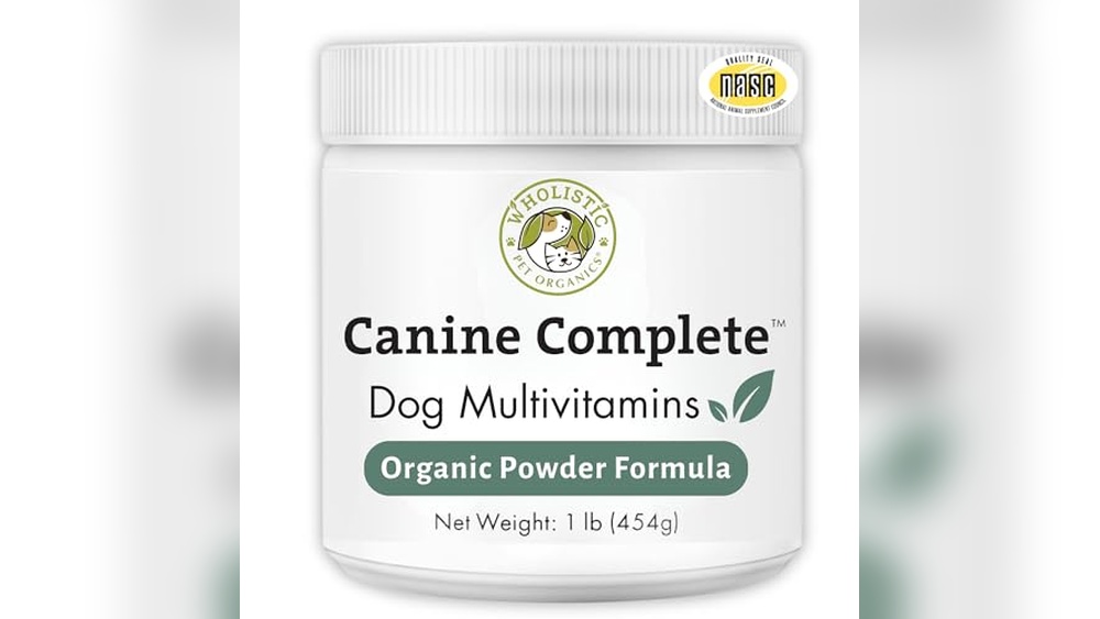 Best Supplements for Homemade Dog Food