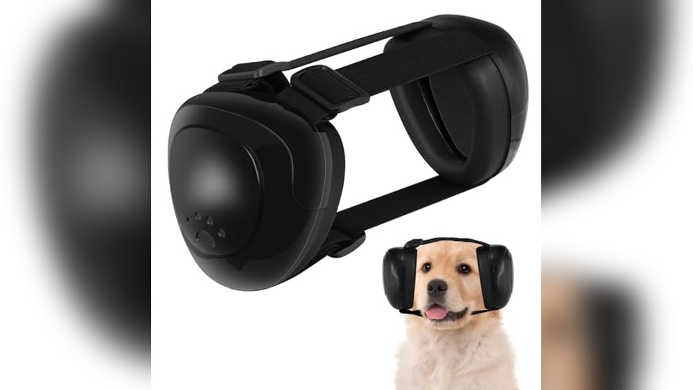 Top 10 Best Protection Dogs